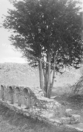 ATHASSEL PRIORY  IN CLOISTER PATHS?